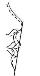 Manual Illustration